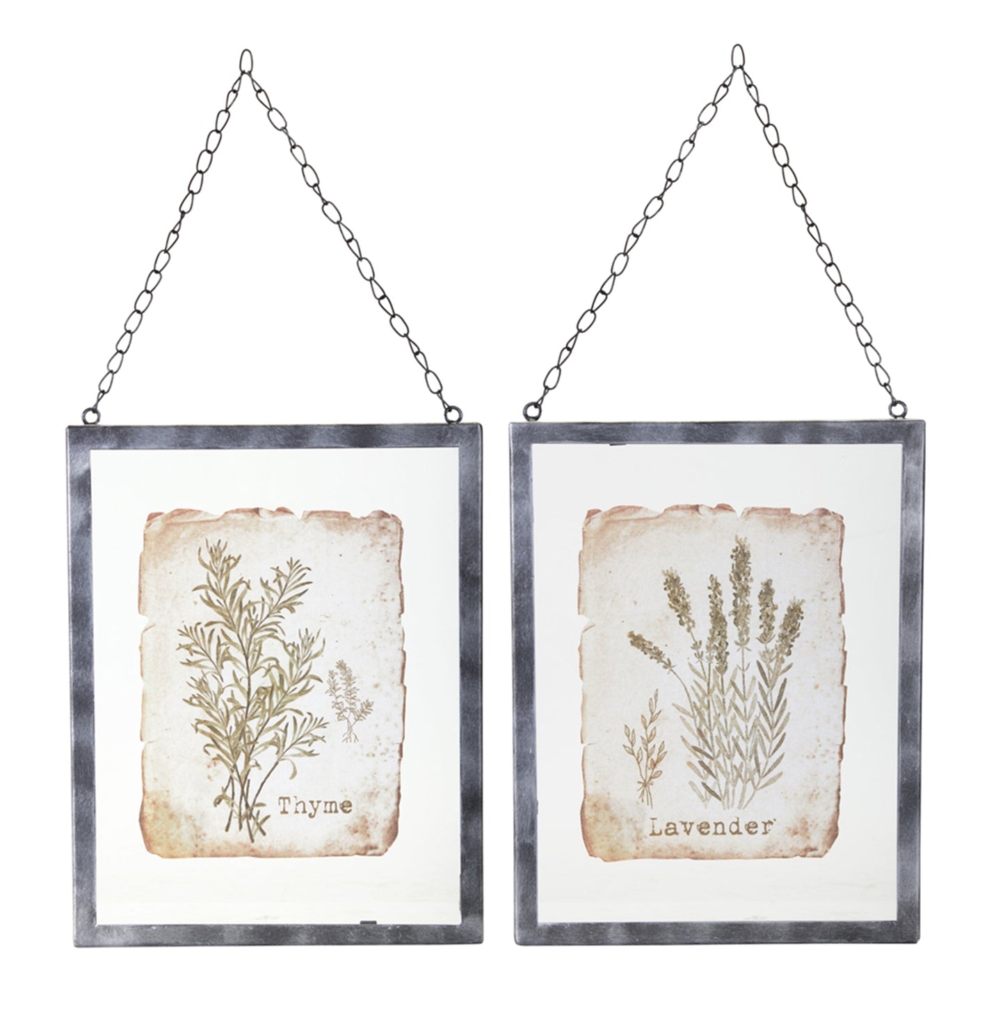 Set of 2 Hanging Glass Frames with Vintage Lavender and Thyme Prints